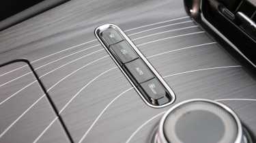 Geely Starray UK - trim