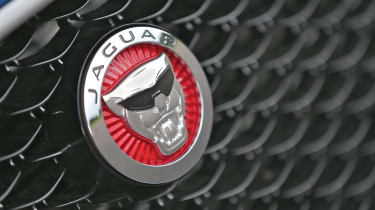 Jaguar Project 7 cool badge with shades
