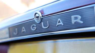 Jaguar XJS - rear badge
