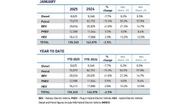 January fuel type sales 2025