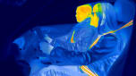 Heated seatbelts demonstrated with thermal imaging