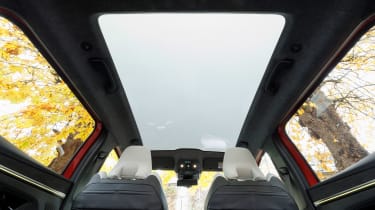 Renault Scenic - roof clouded