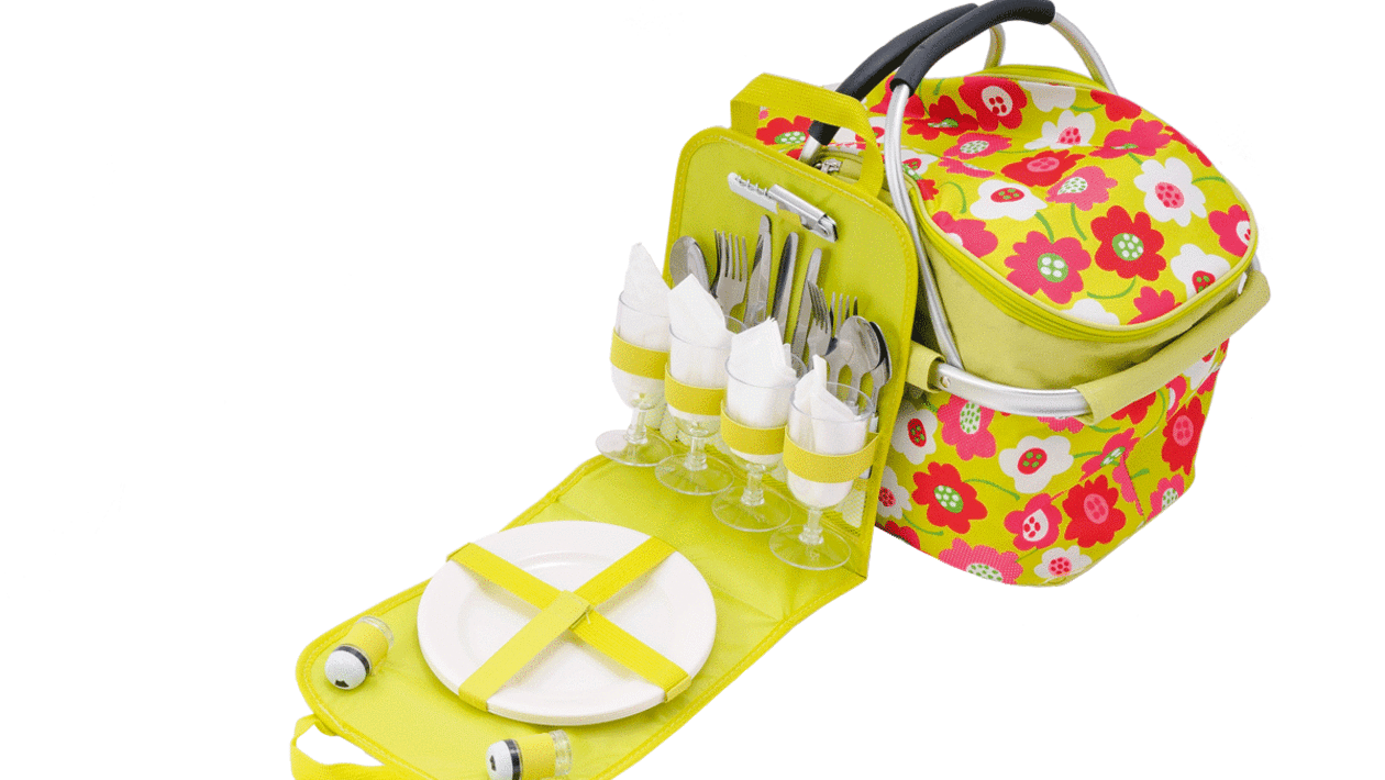 Eurohike Picnic Carrier Auto Express