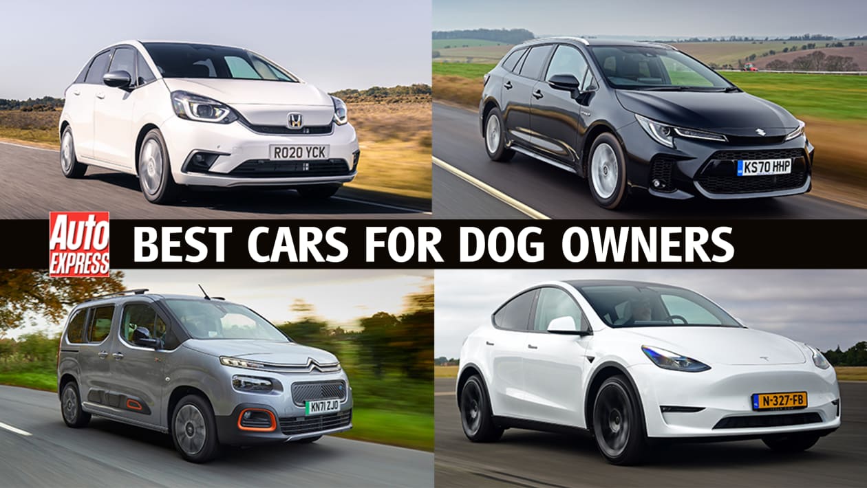 Best 4X4 Cars for Dogs 