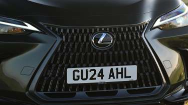 Lexus NX - front grille 