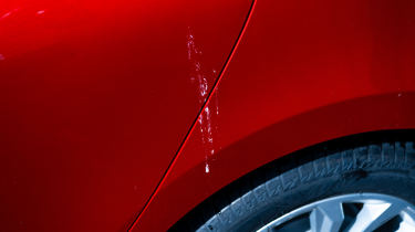 Bird droppings on Renault Clio rear quarter panel