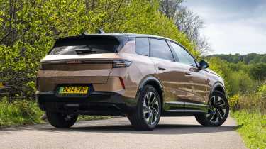 Vauxhall Grandland Electric - rear static 