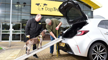 Auto Express current affairs and features editor Chris Rosamond and a Dogs Trust volunteer loading a dog into a Toyota Corolla&#039;s boot via a ramp