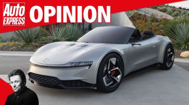 Opinion - Henrik Fisker