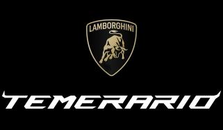 Lamborghini &#039;Temerario&#039; logo