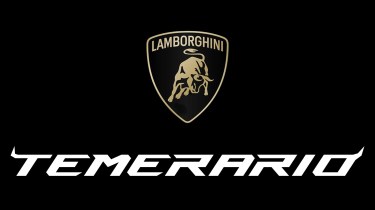 Lamborghini &#039;Temerario&#039; logo