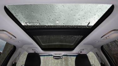 Ford Edge - roof