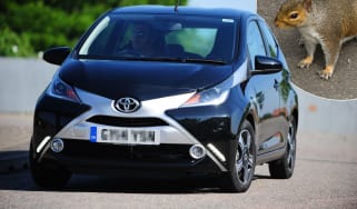 Toyota Aygo with squirrel