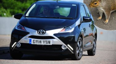 Toyota Aygo with squirrel