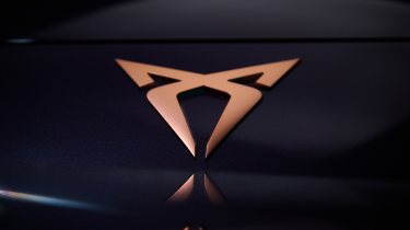 Cupra Terramar - Cupra badge