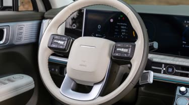 Hyundai Santa Fe - steering wheel
