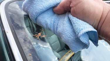 Washing your car during a hosepipe ban - targeted area