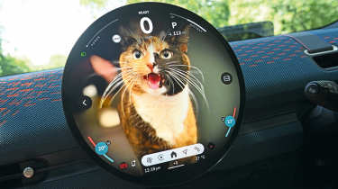 MINI Aceman SE Exclusive - cat screen