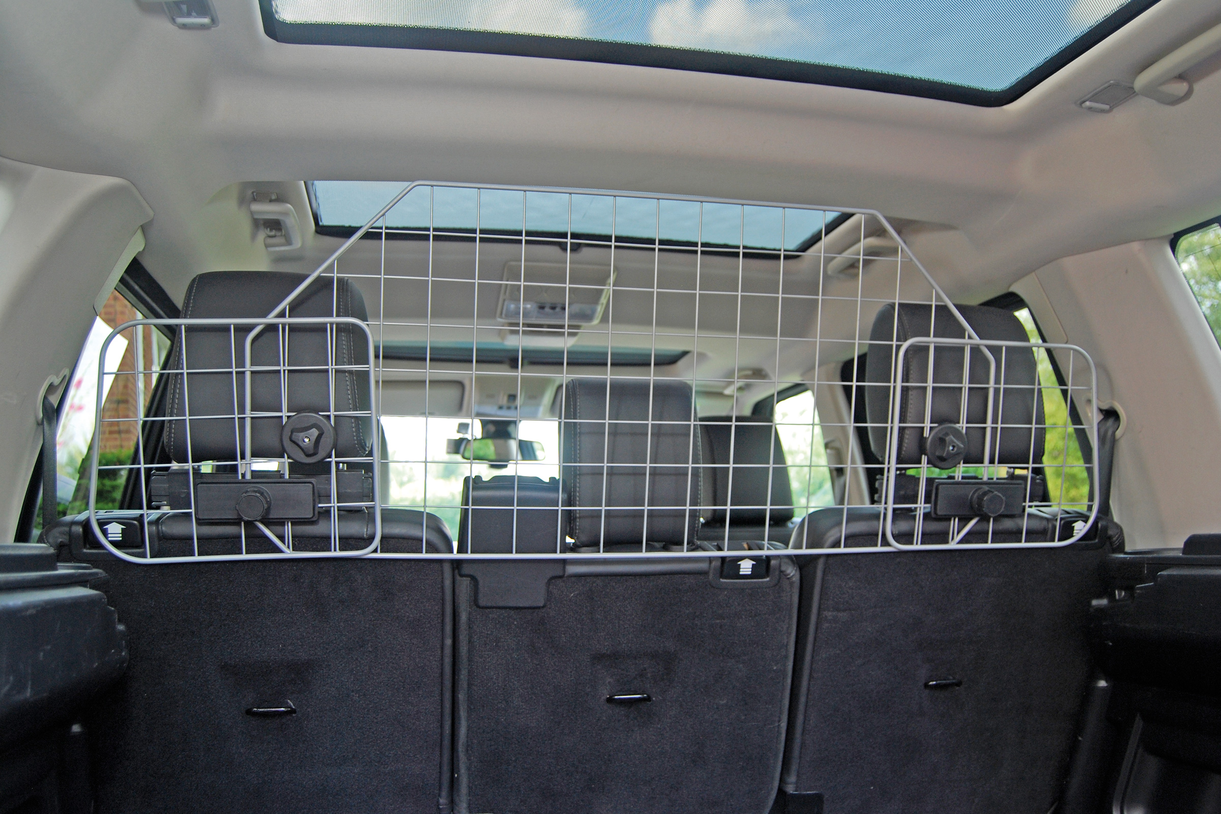 dog guards and dividers for cars