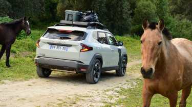 Dacia Duster - parked between wild horses