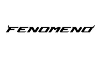 Lamborghini Fenomeno logo