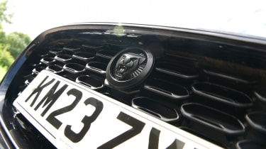 Jaguar F-Type R 75 - front grille