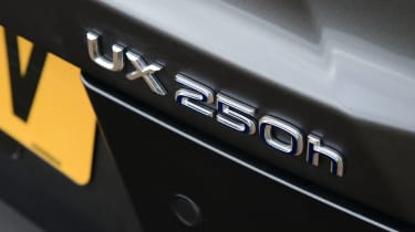 Lexus UX 250 Takumi - rear badge