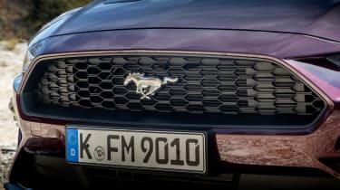 Ford Mustang EcoBoost Convertible - grille