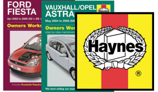 Haynes