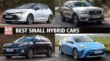 Best%20small%20hybrids-10.jpg