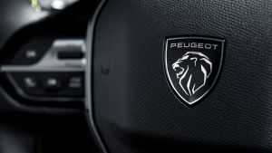 Peugeot 308 - steering wheel detail