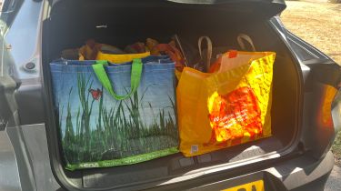 Alfa Romeo Junior Elettrica Veloce - fleetwatch