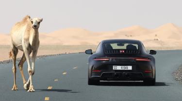 New Porsche 911 rear driving down a desert road next to a camel