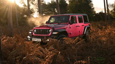 Jeep Wrangler - front static