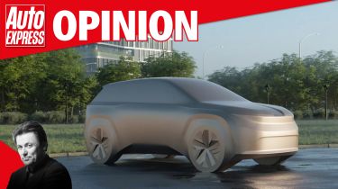 Opinion - Skoda EV