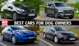 Best cars for dog owners - header