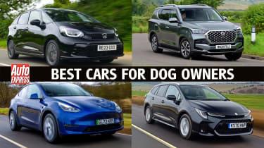 Best cars for dog owners - header