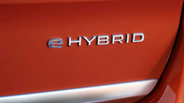 Volkswagen Multivan eHybrid - badge