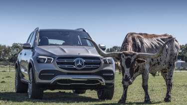 Mercedes GLE with cow