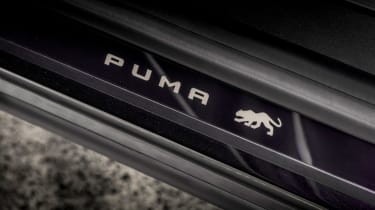 Ford Puma ST Gold - sill